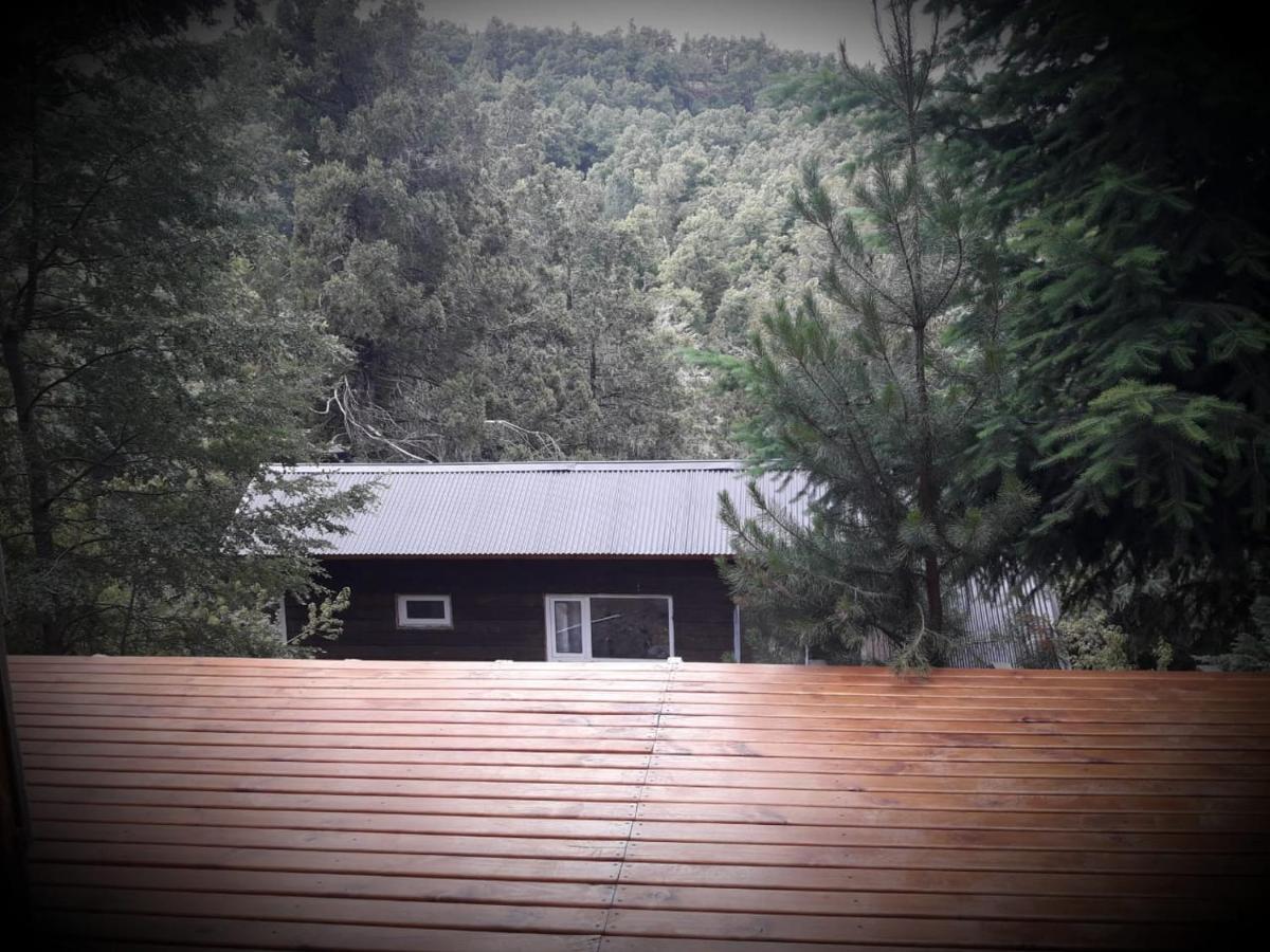 Cabana Del Morro San Martín de los Andes Exterior foto